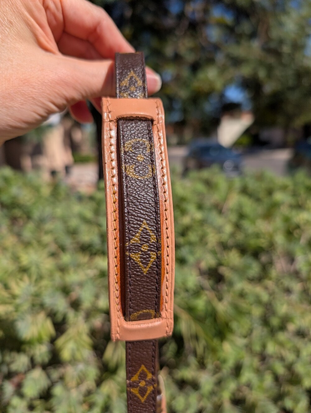 Louis Vuitton Danube Crossbody (SL0061) - Picture 15 of 16